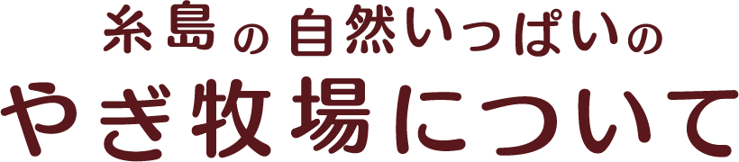 糸島の自然いっぱいのやぎ牧場について