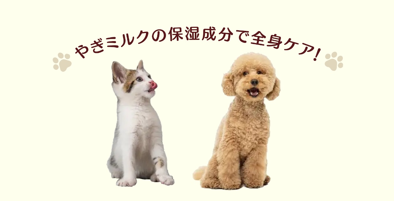 やぎミルクの保湿