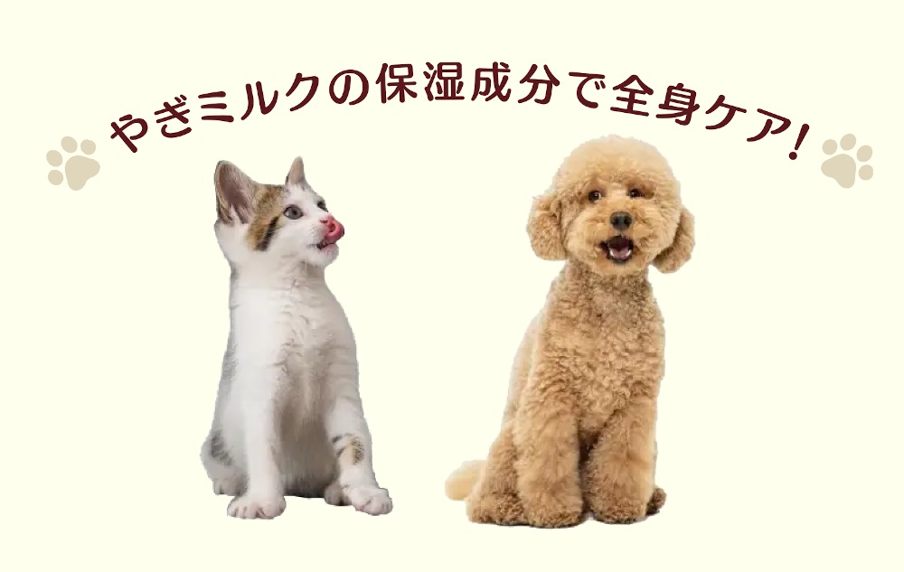 やぎミルクの保湿