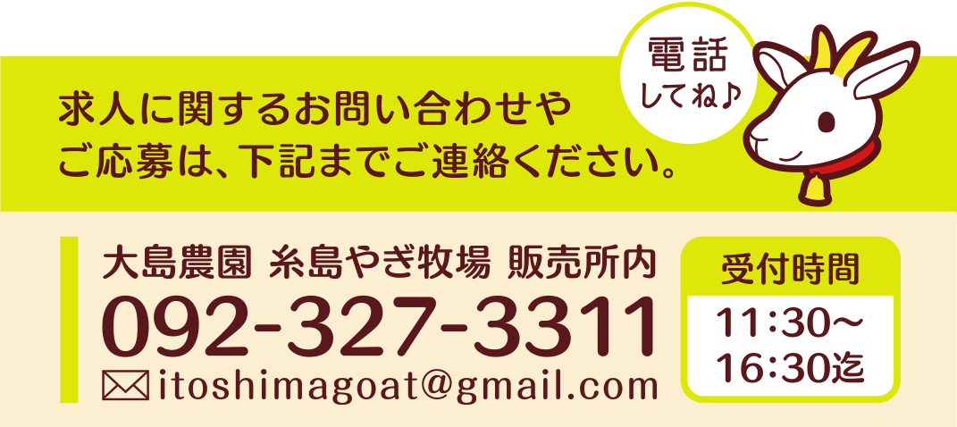 お問い合わせ先