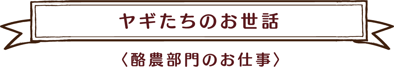 ヤギたちのお世話