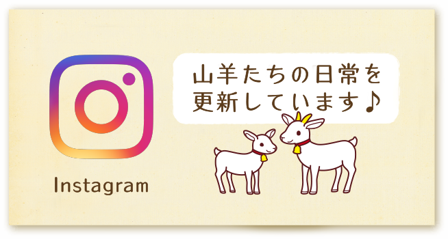 インスタグラム