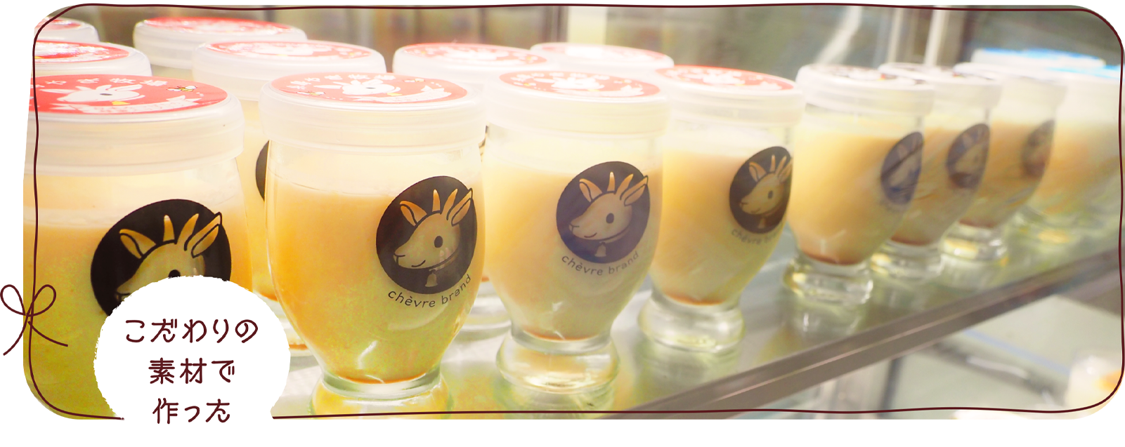 糸島の自然いっぱいのやぎ牧場について